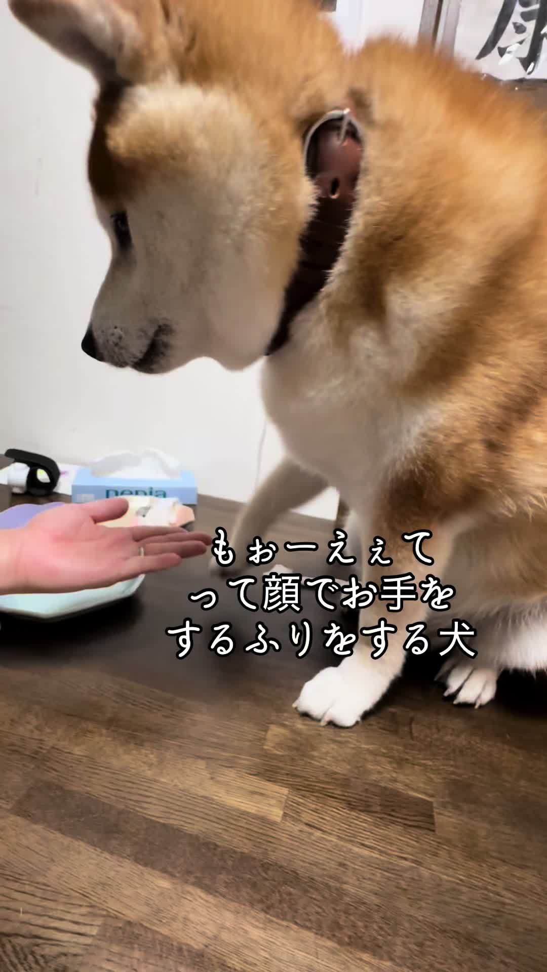 @nana0209 🪽🥴