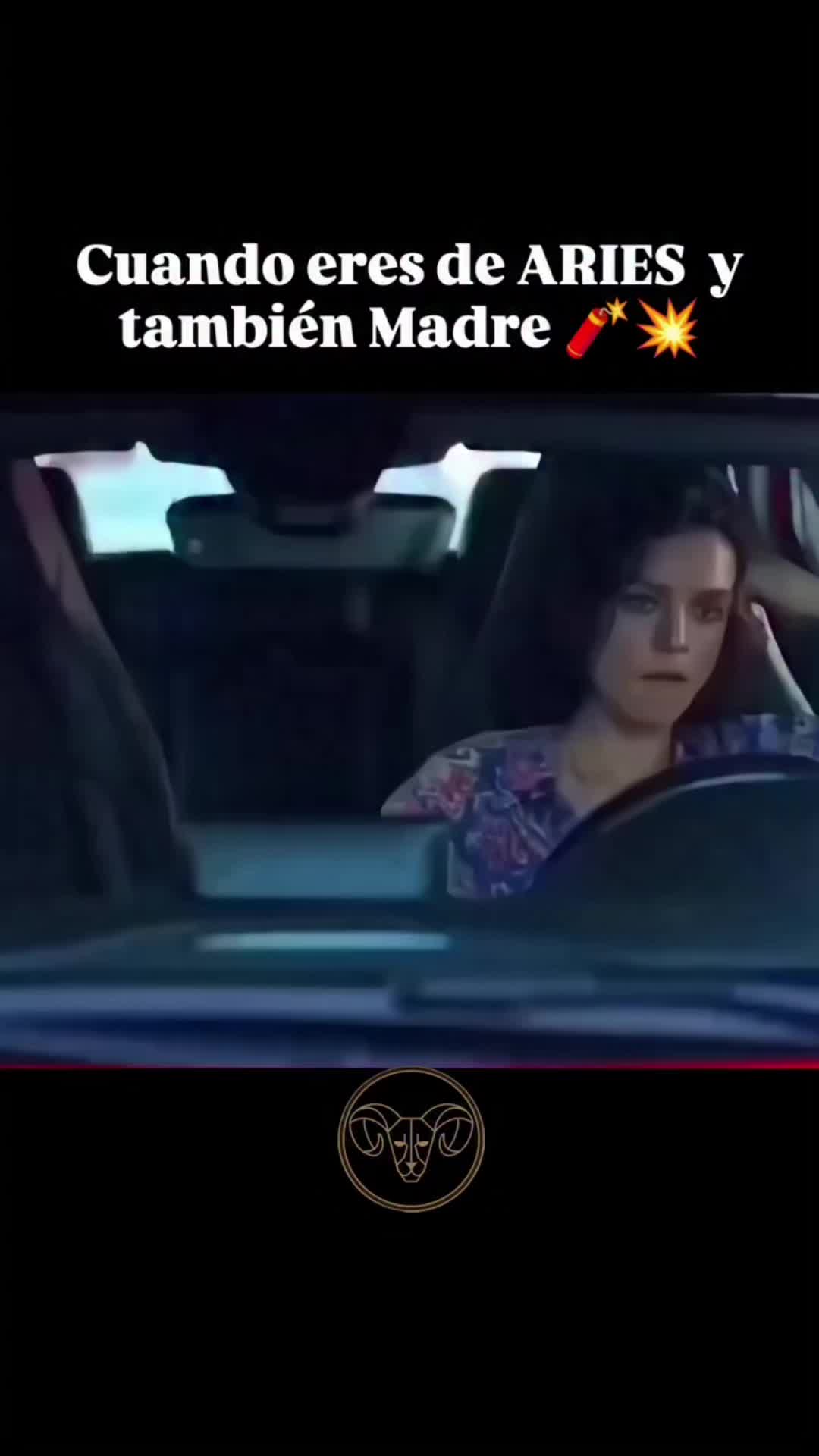 @coneja19991