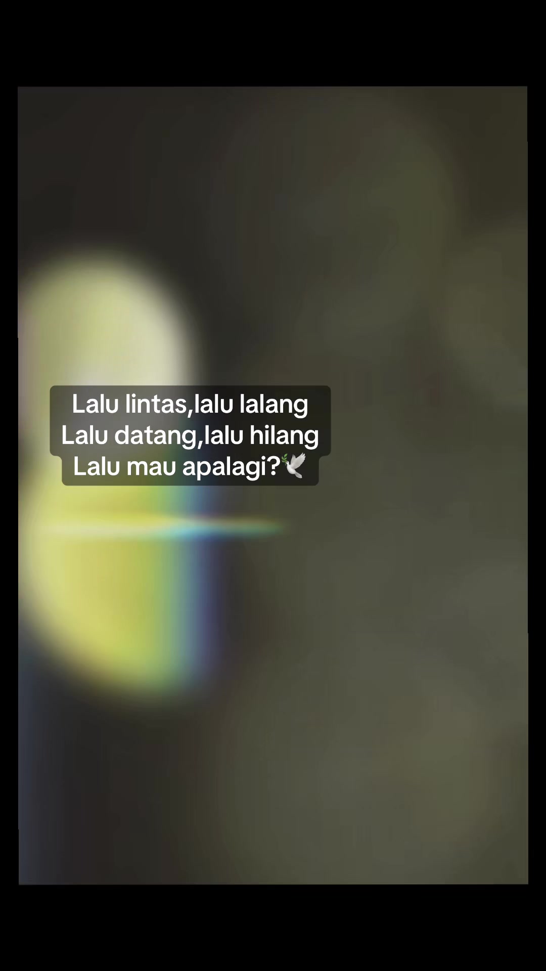 @iesta77_