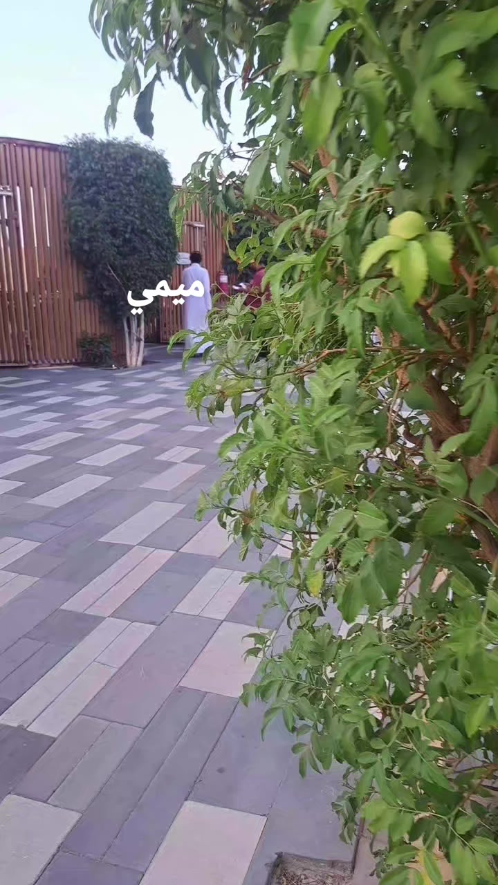 @ميمي ✨️