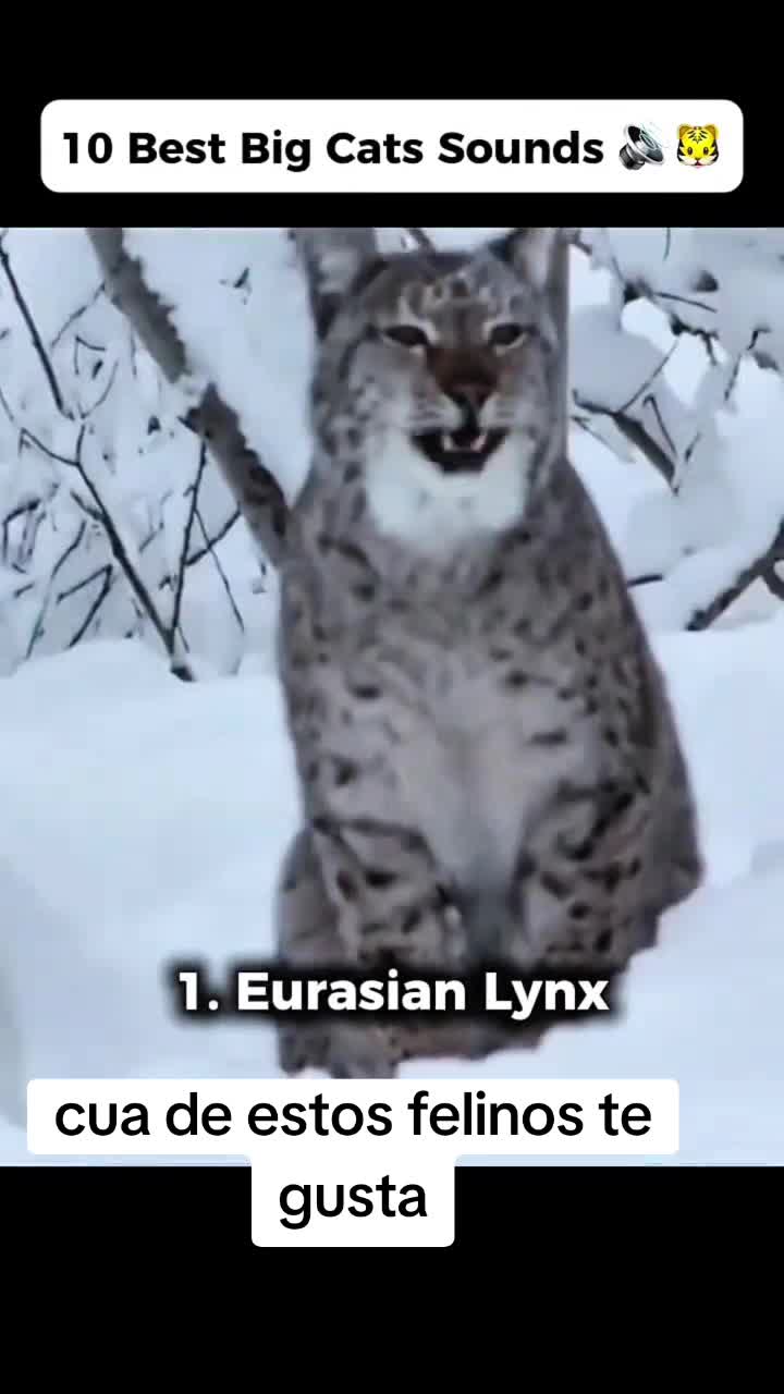 @LATZAC