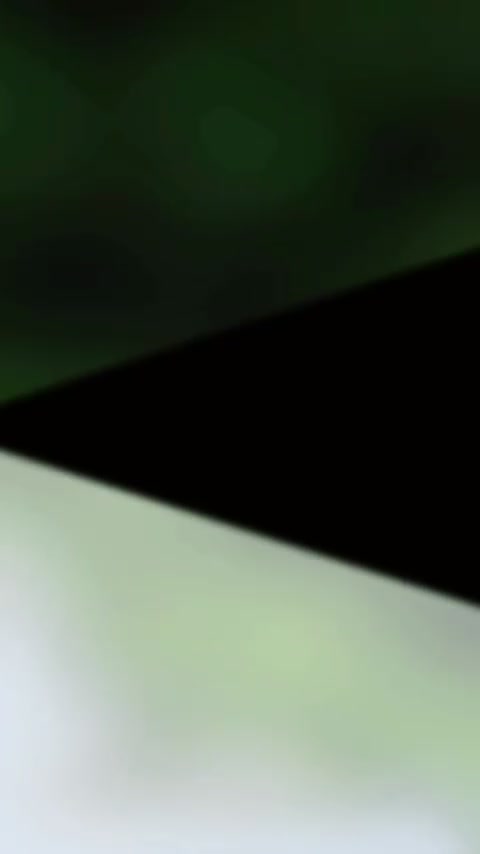 @Ali Billa 5911