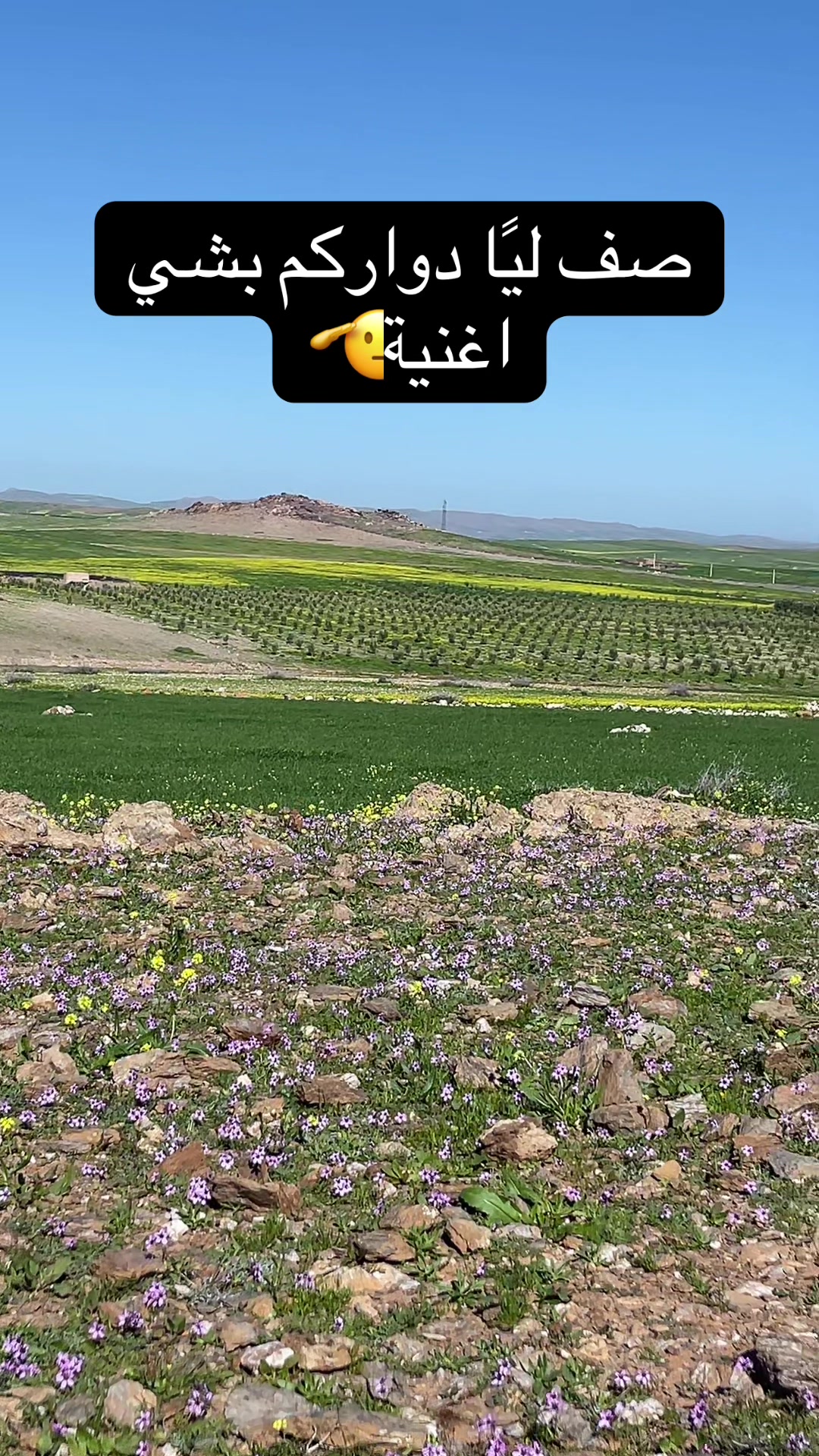 @جمال ولد مي مليكة رحمانية