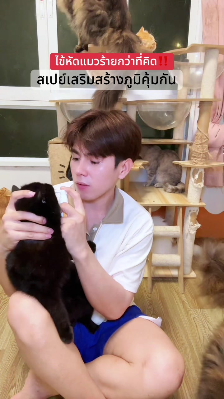 @ตาต้น กับลูกๆทั้ง20ตัว🐈