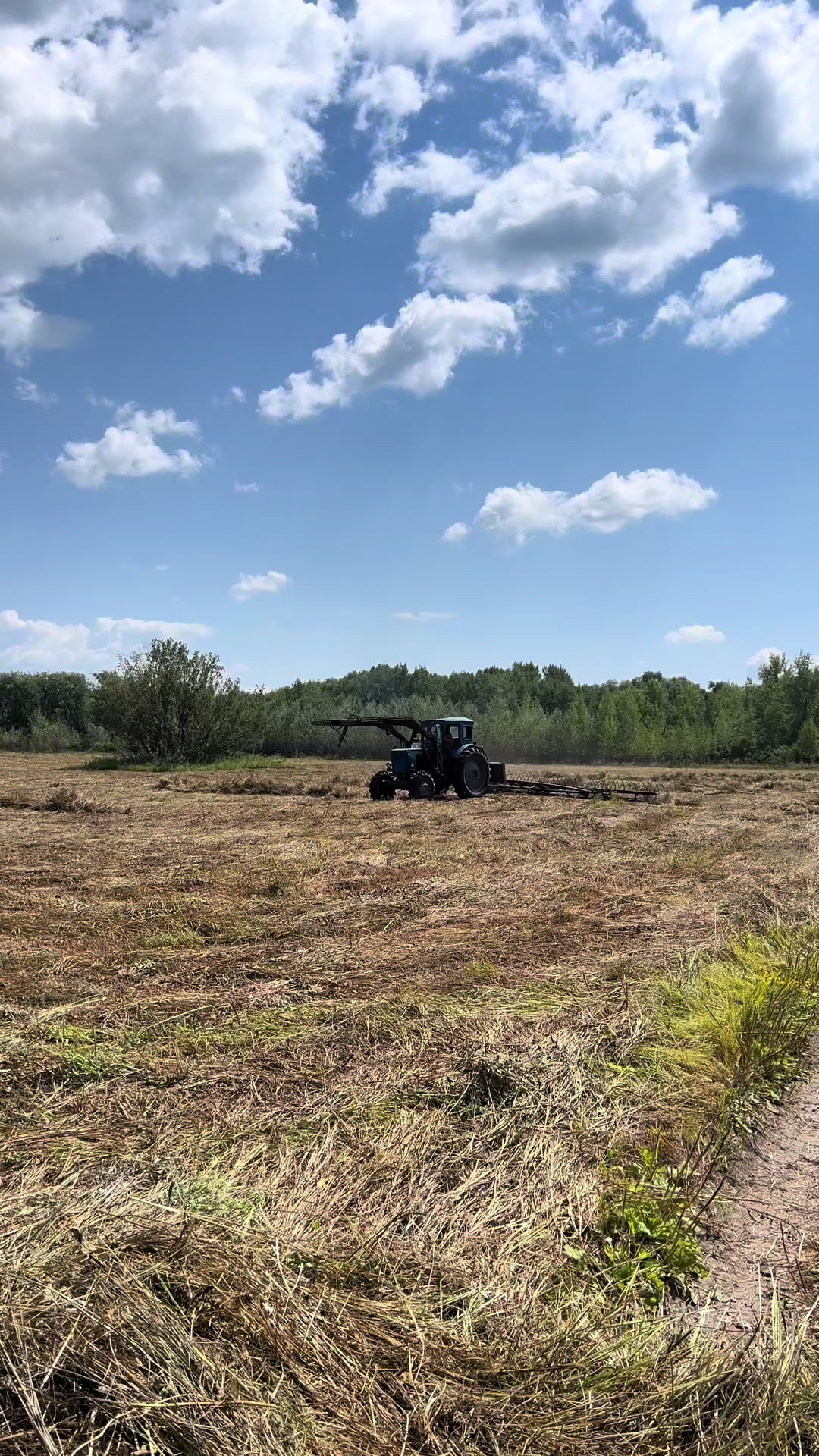 @Аня | Деревенский дневник🌿