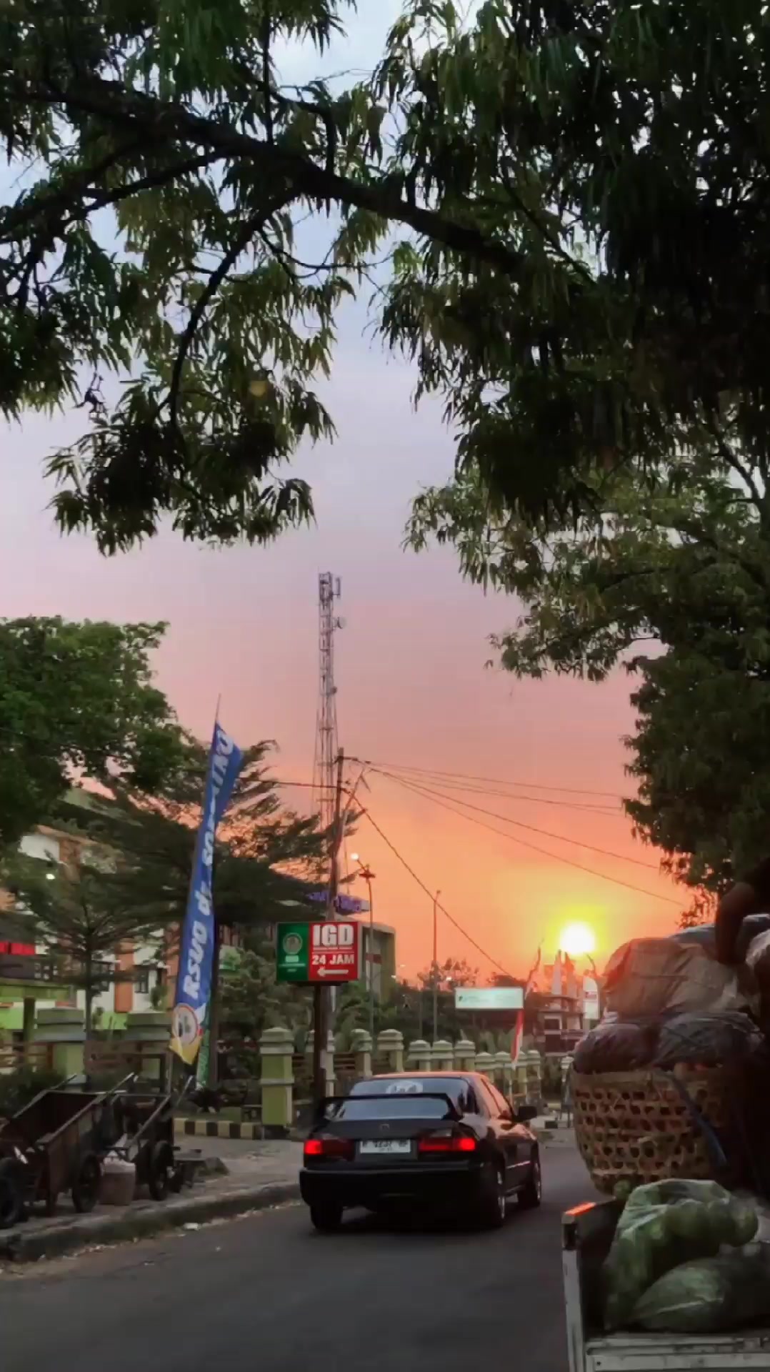 @alelohiyaa