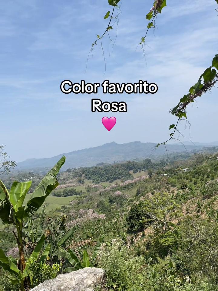 @Gisben Roses 🥀