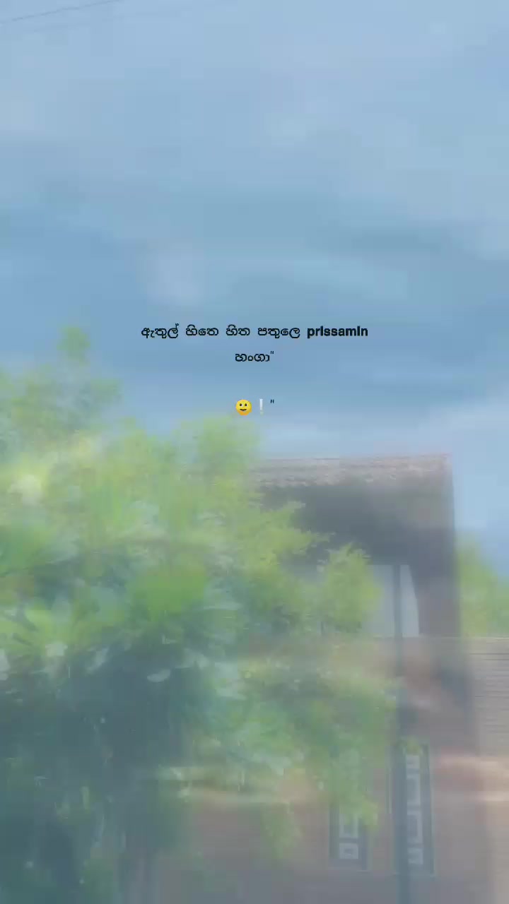 @โฏ๐ฐ ๐ฟ ๐พ ๐พ ๐ ๐ ๐ฐเทดใ
