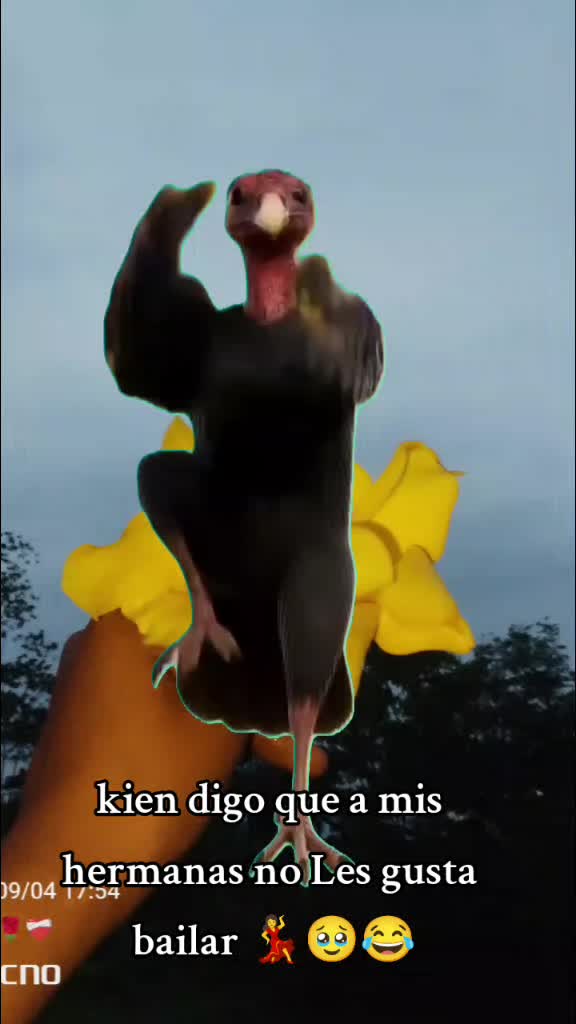 @๐ฉท๐๐ท๐บ๐ธ