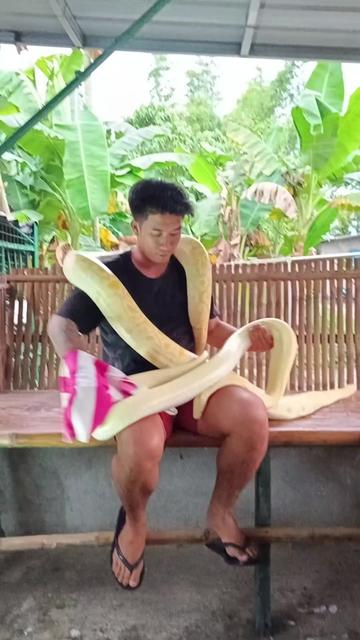 @talks G