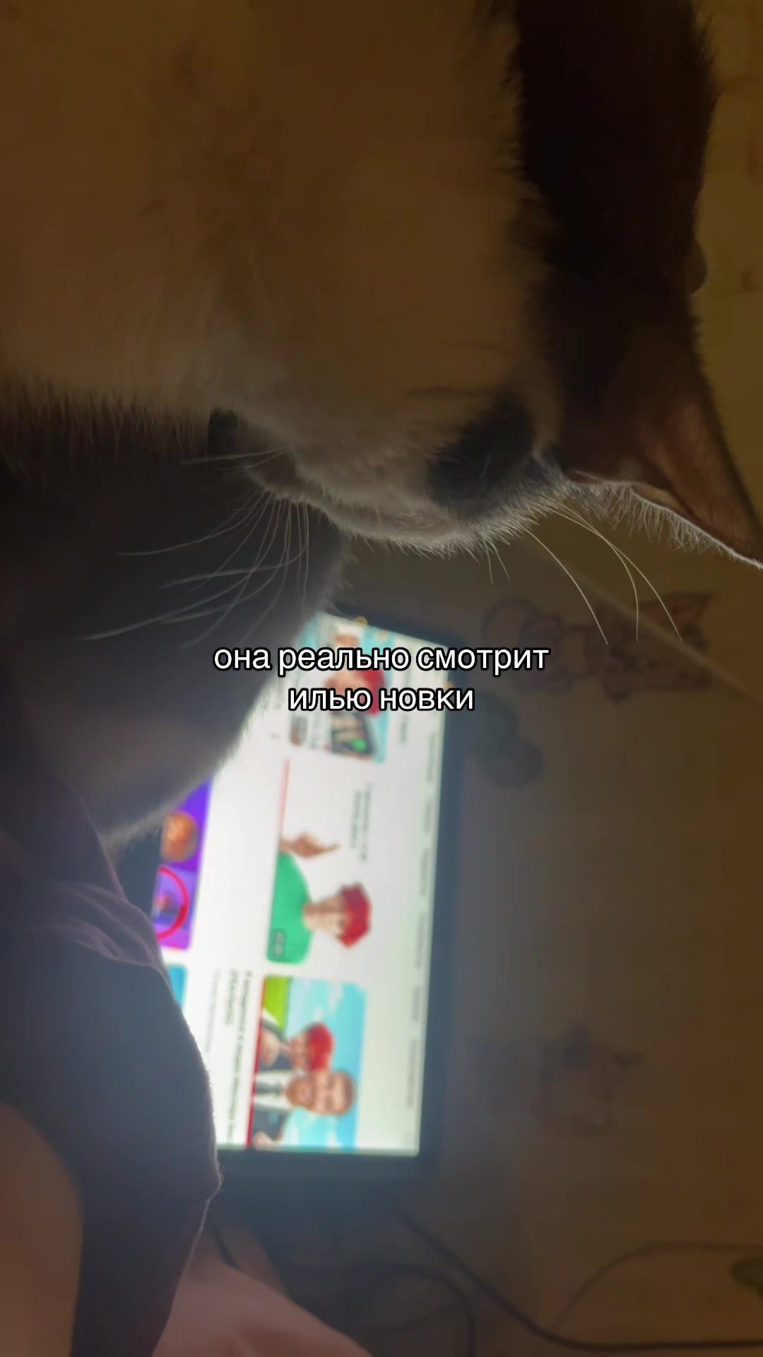 @𝗅𝖽𝗁²²⁸