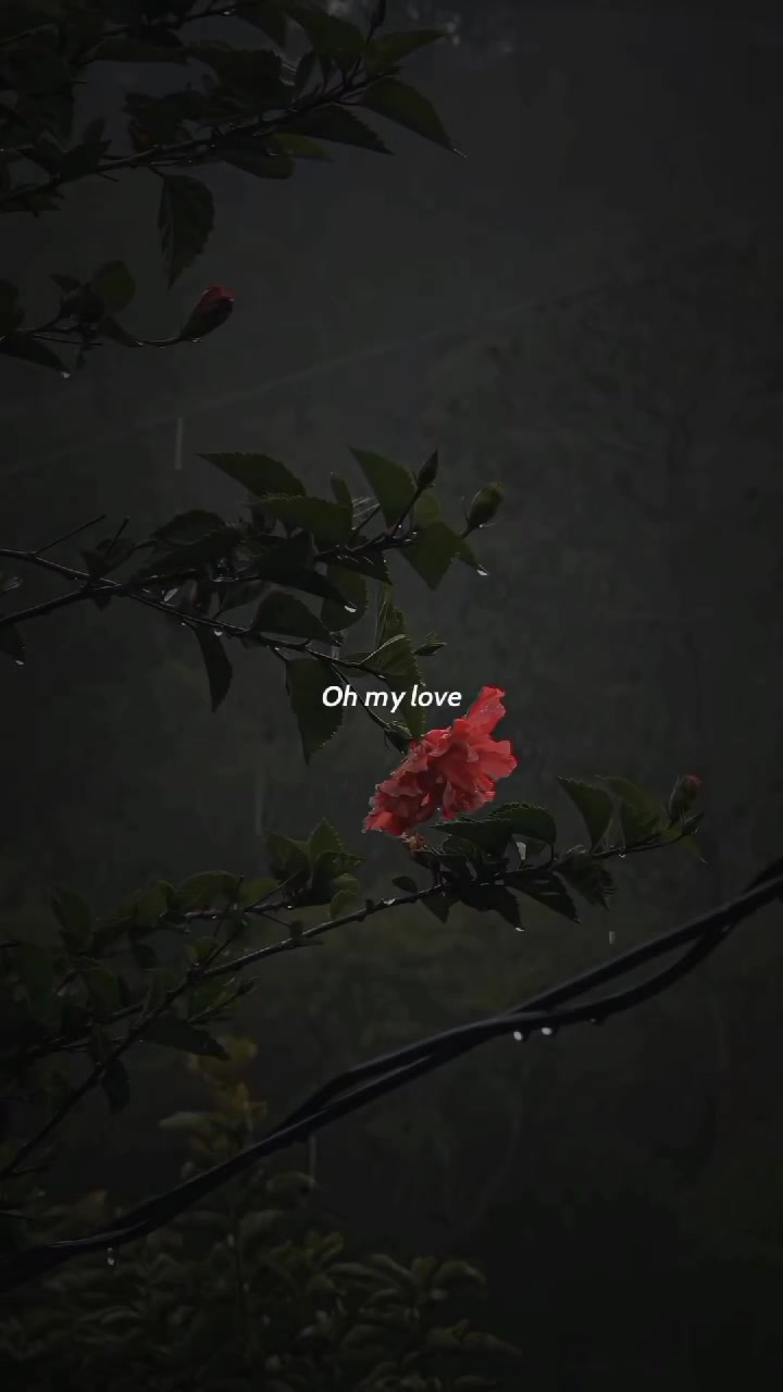 @나도 사랑해 Mitsuha