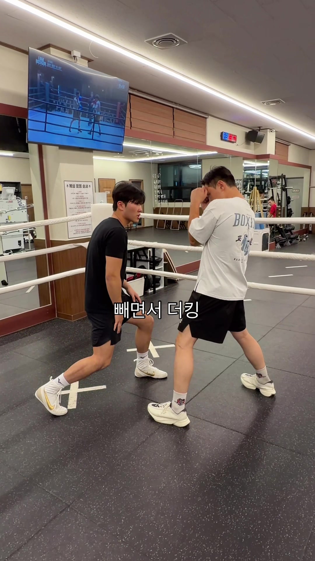 @LLBX 롱롱복싱