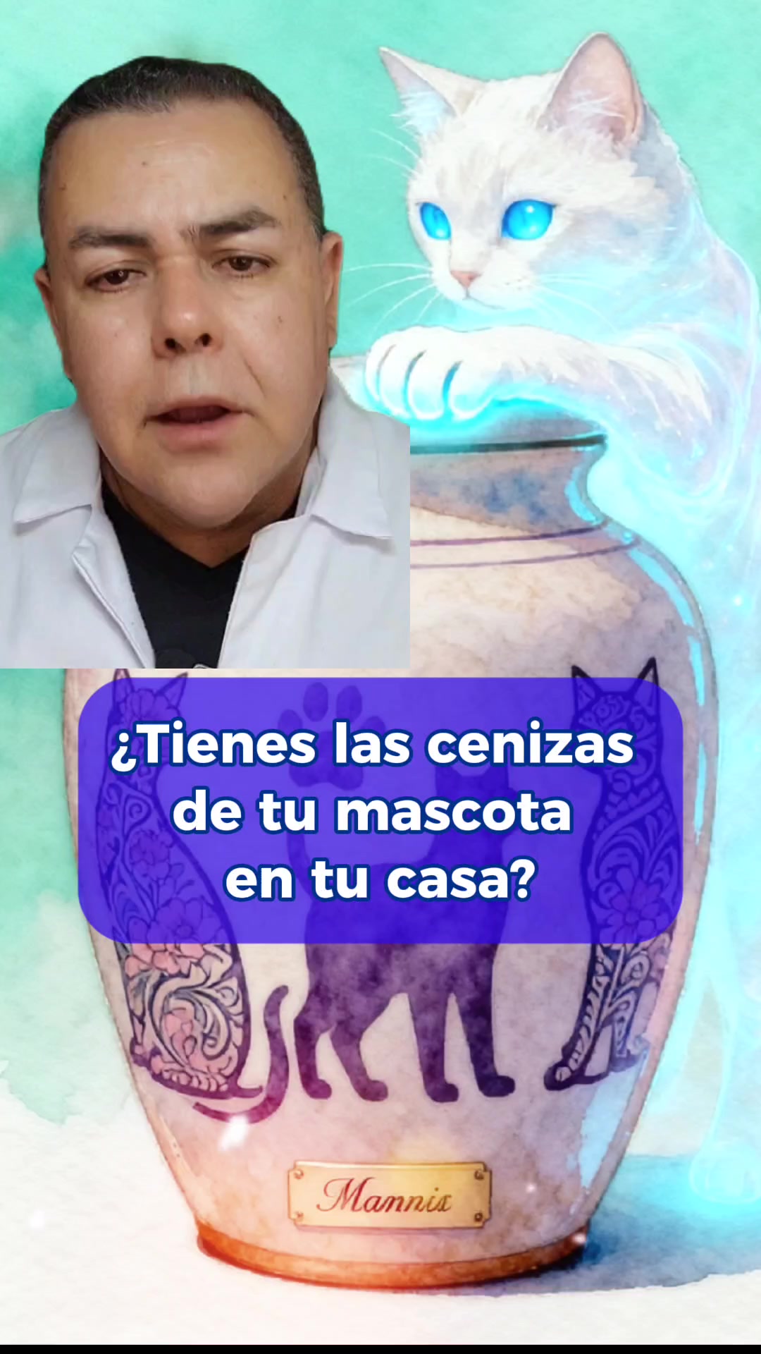 @roberto avaria
