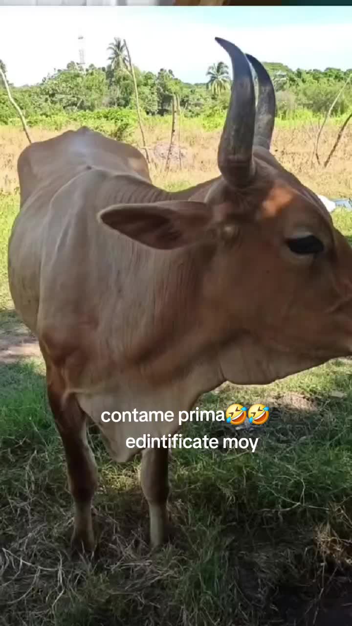 @Debora🥰