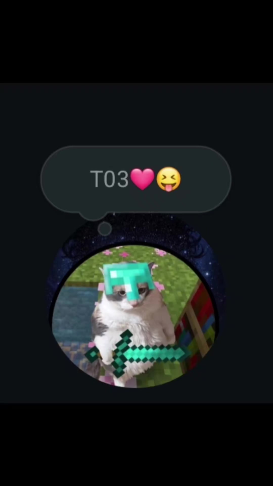 @gato de combate