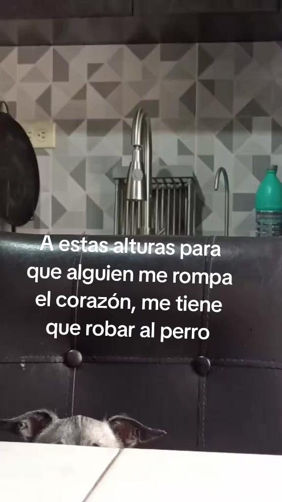 @Celina Salazar