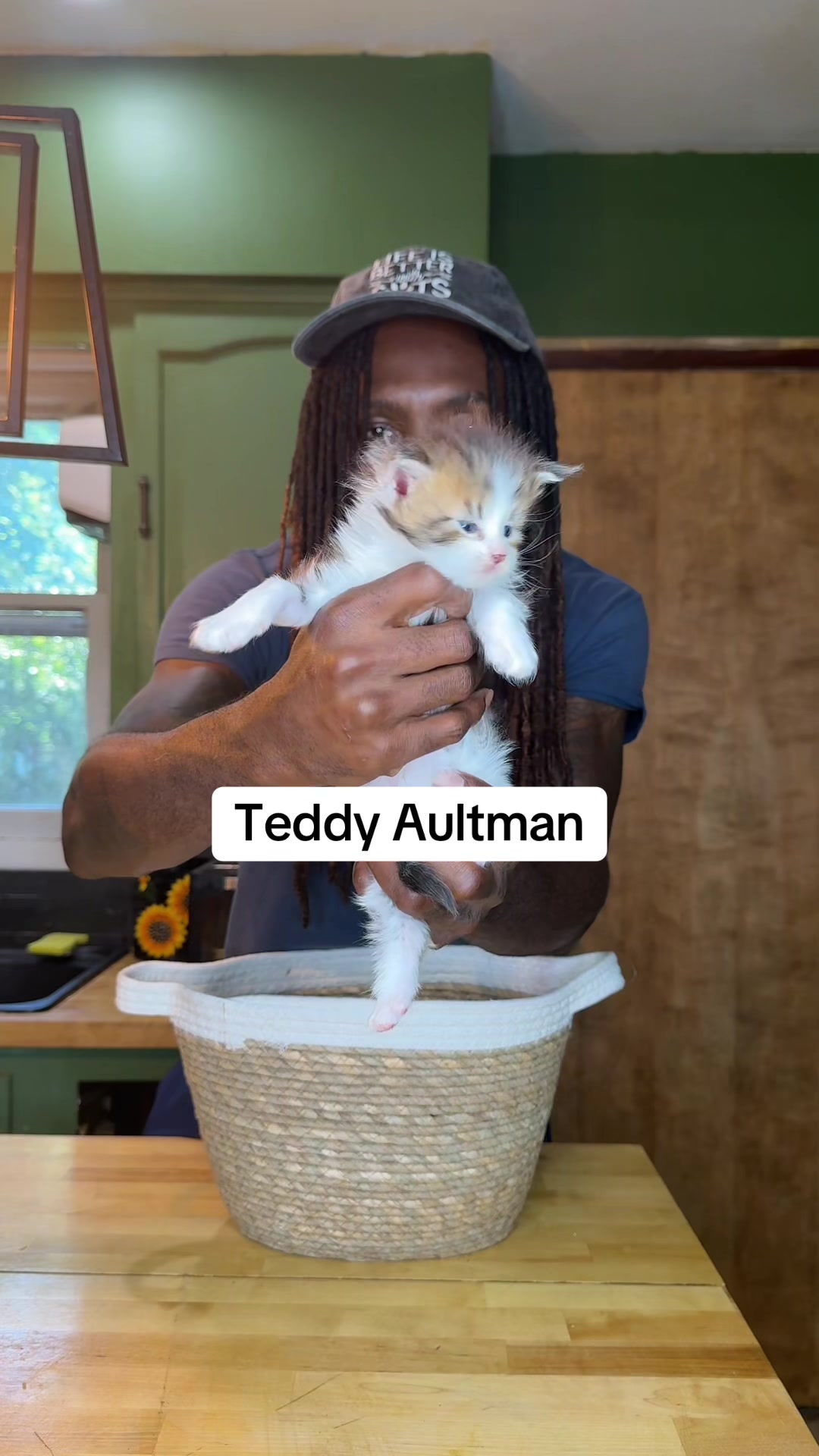 @Tycoon_Mainecoons