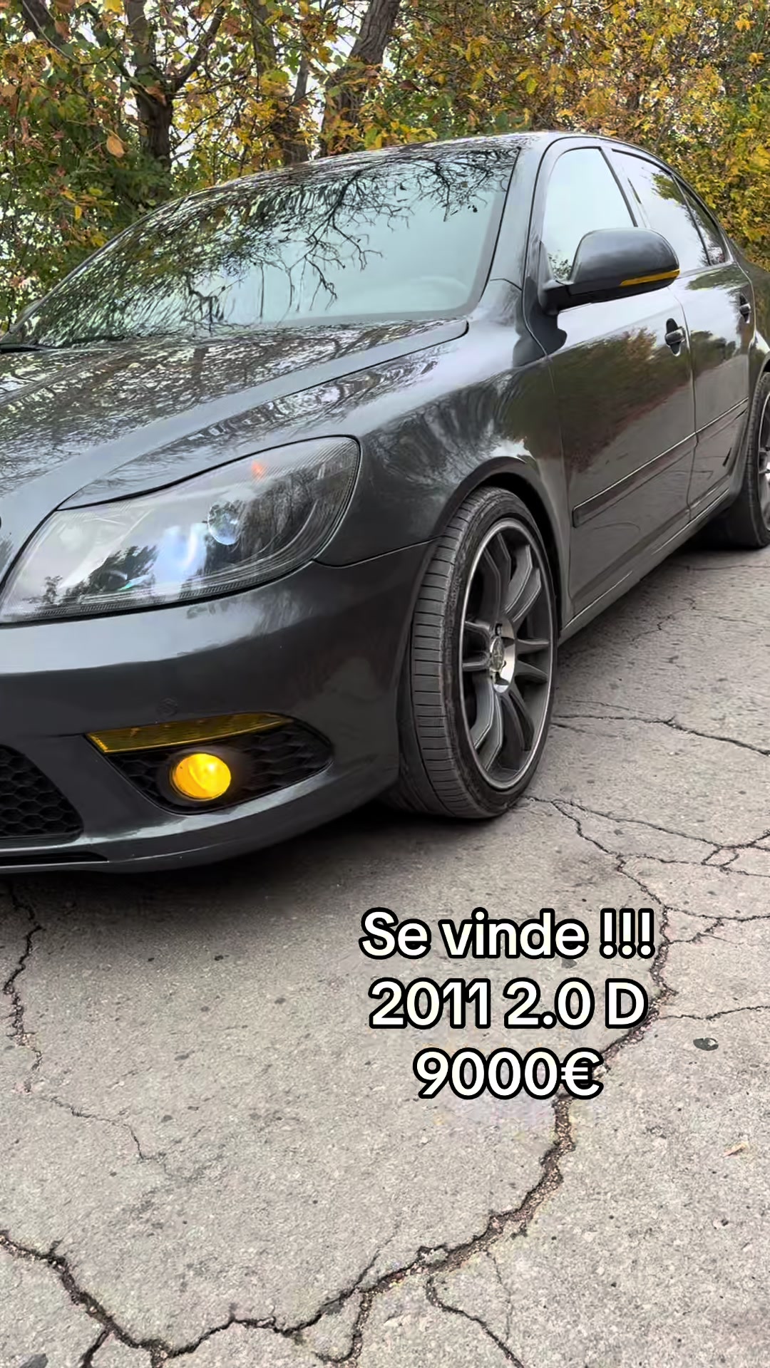 @Țîbulică