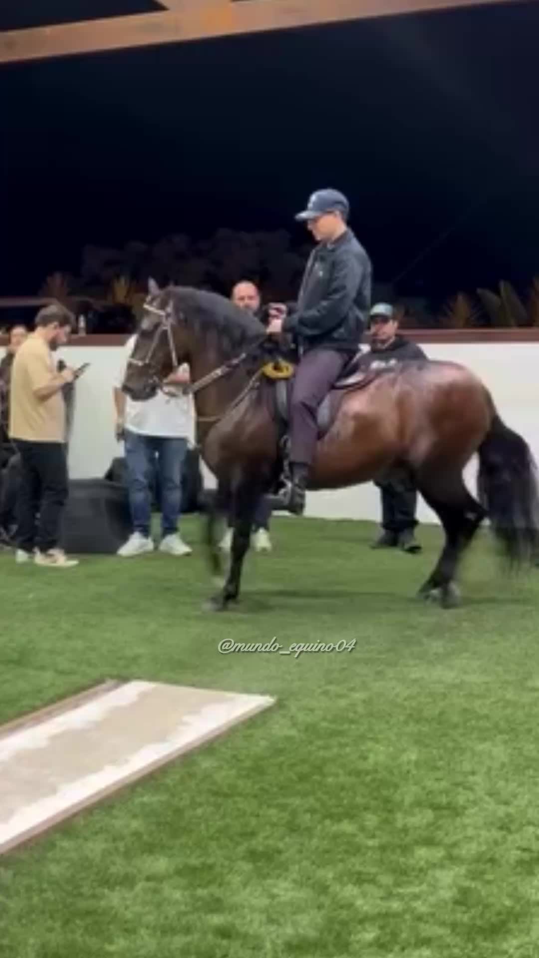 @mundo_equino04