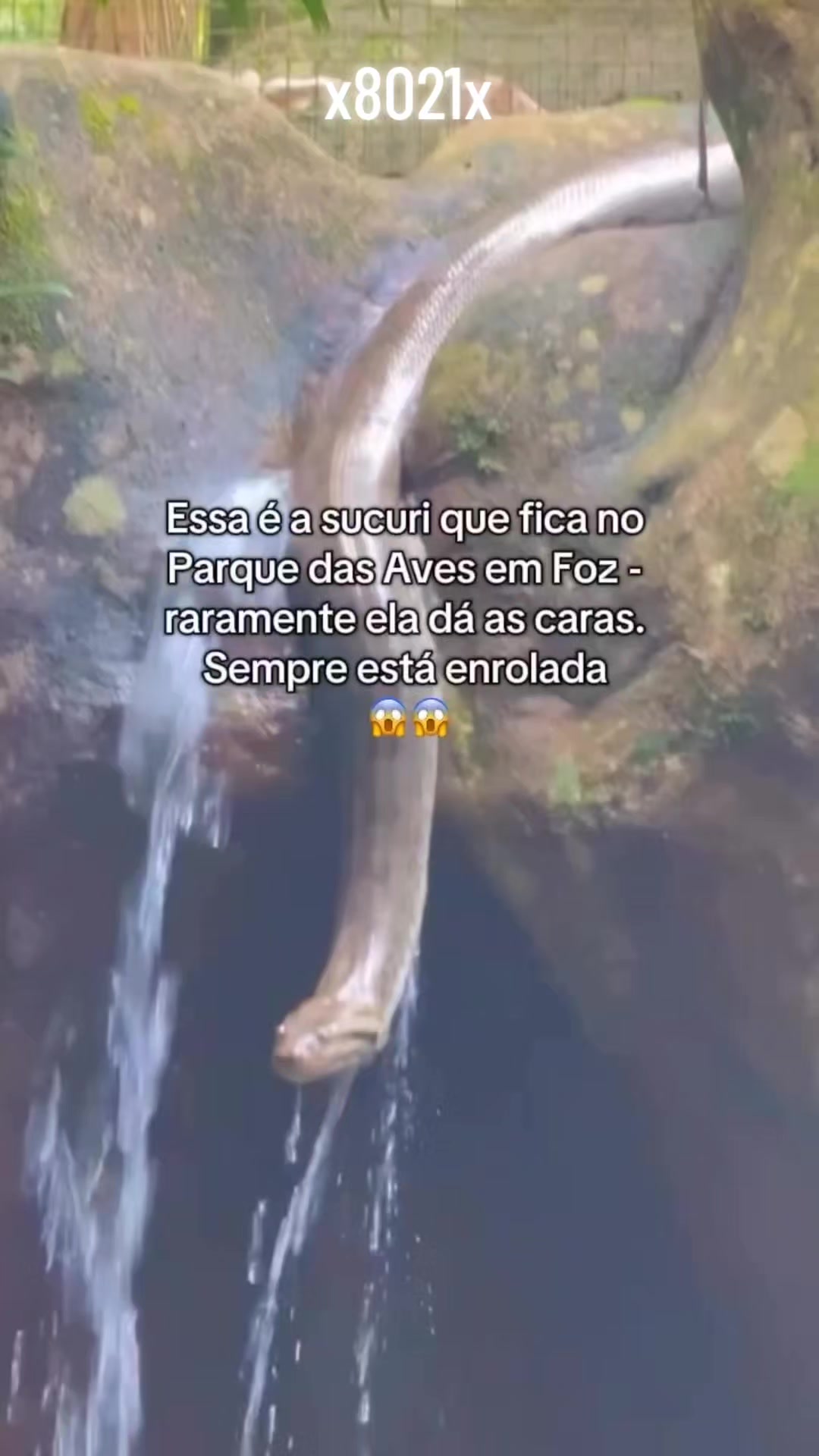 @⁶⁶⁶🇲 🇦 🇾 🇭 🇪 🇲⁶⁶⁶ ®