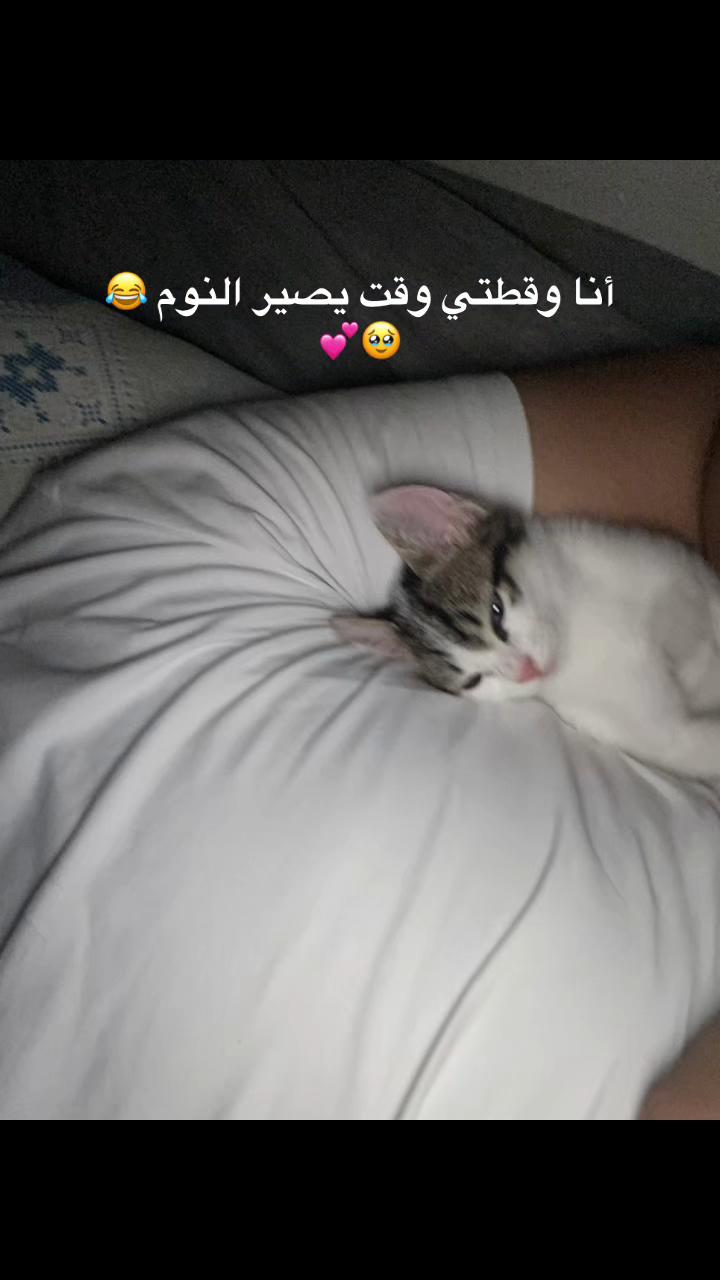 @الحنون 🖤؟