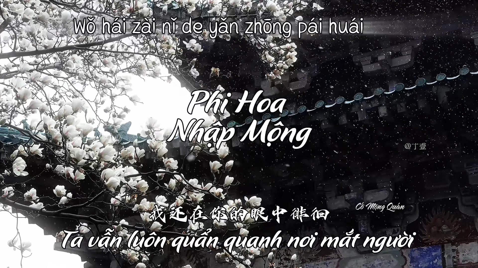@Cố Mộng Quán 故梦馆
