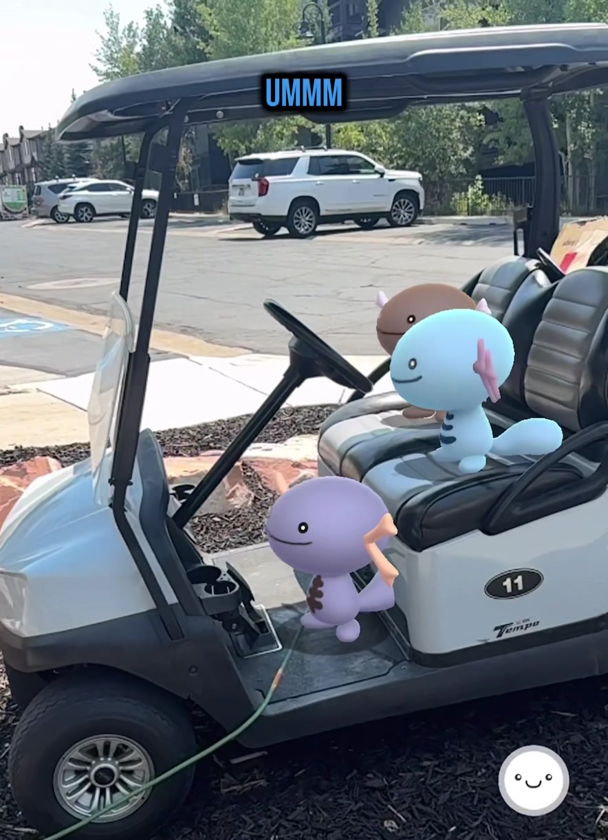 @The Wednesday Wooper