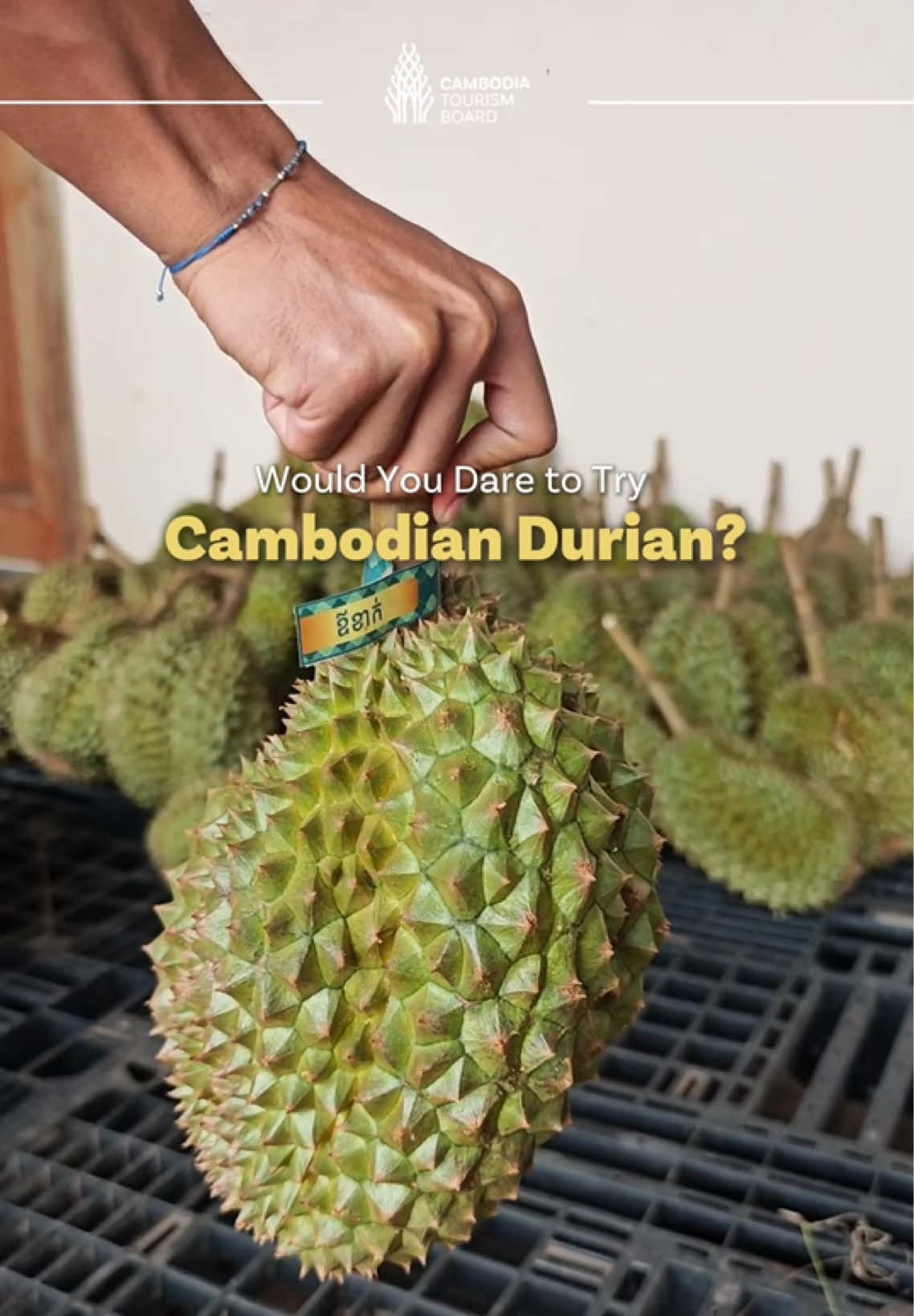 @Cambodia Tourism Board