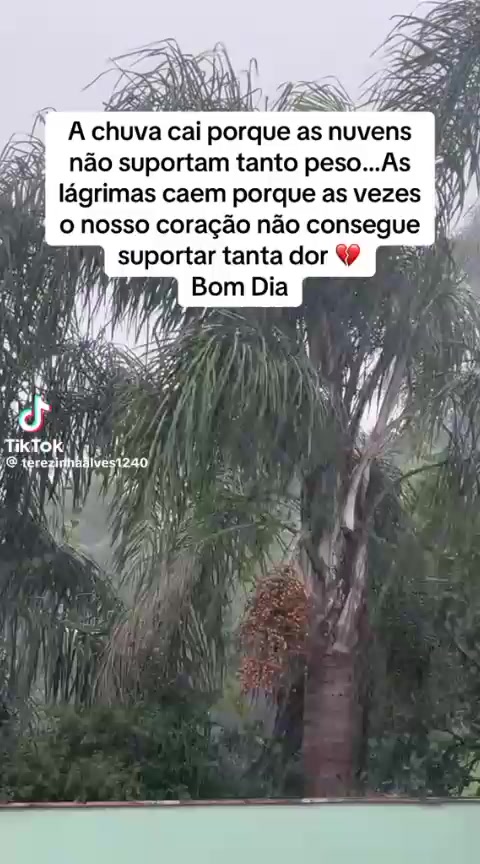 @Luiz Chiconeli