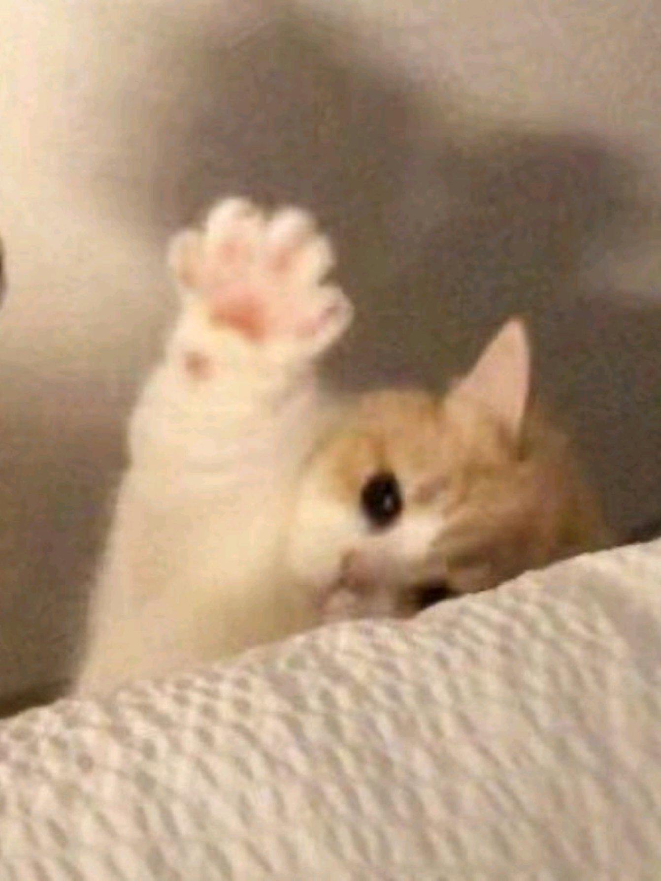 @ʀᴜʙʙᴇʀɢʀɪᴘᴘᴀɢᴇ