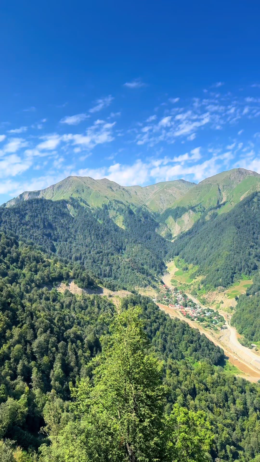 @𝑺.🇦🇿