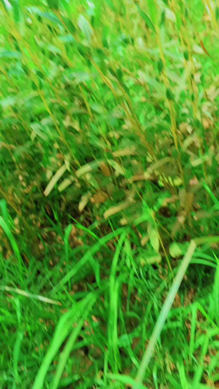 @😍احسان❤️&zwj;🩹 دی❤️&zwj;🩹 جند🥰