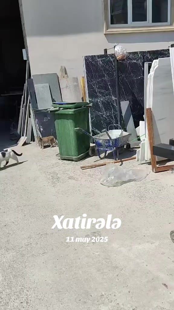 @Namiq Əhmədov