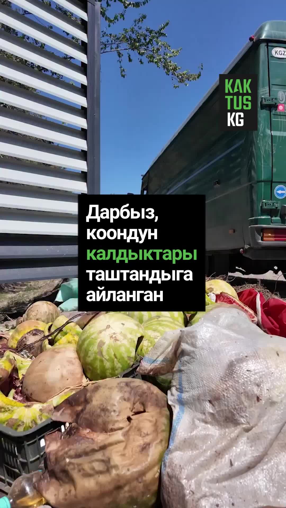 @Kaktus KG