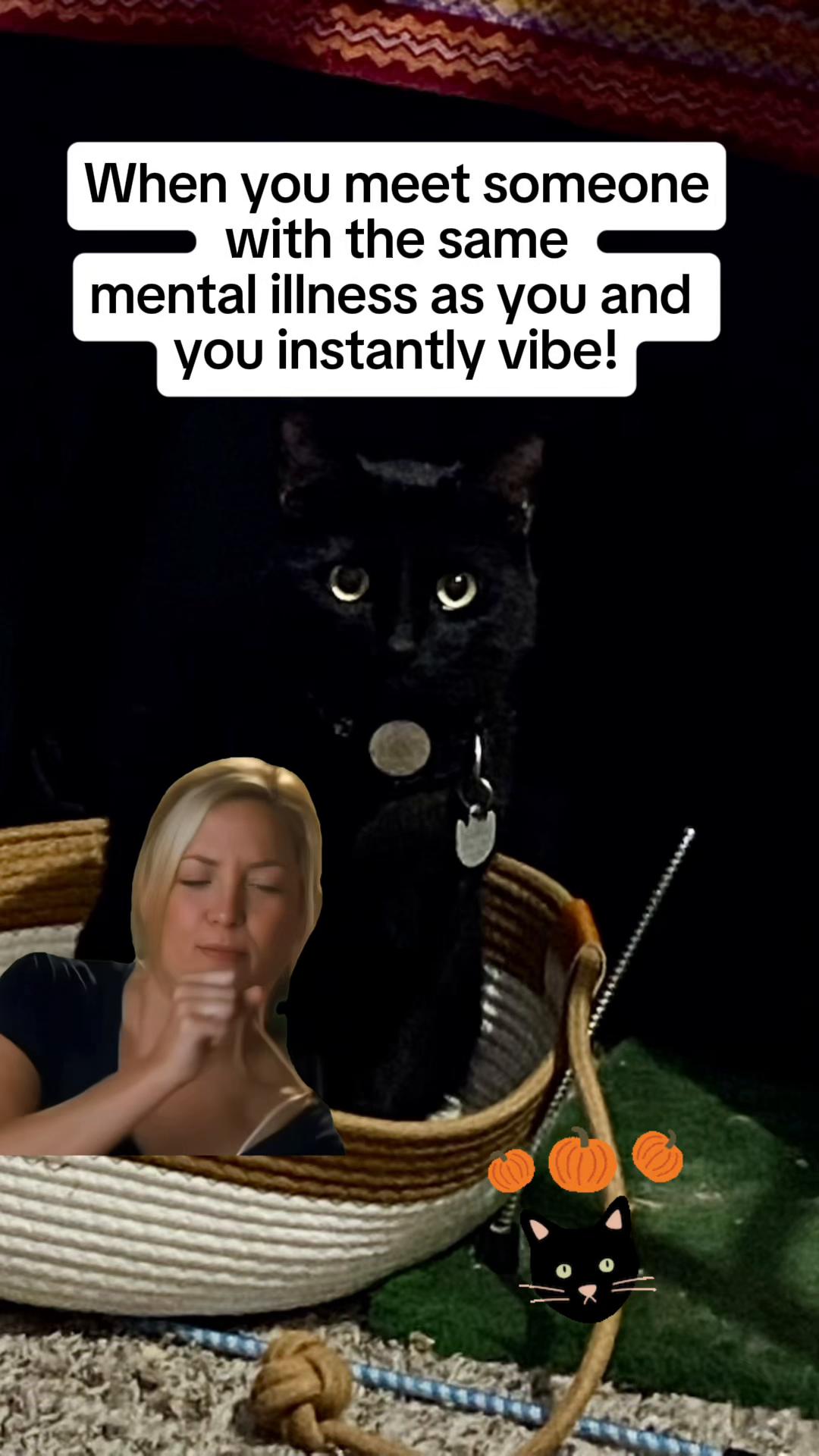 @🐈⬛🐈Shelby🐈