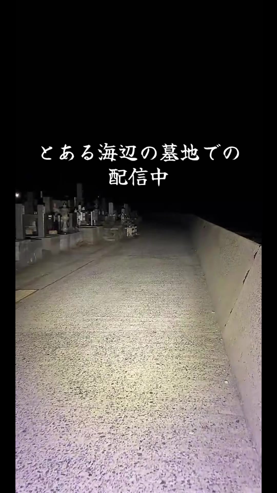 @👻ブレアのとげぴ👻