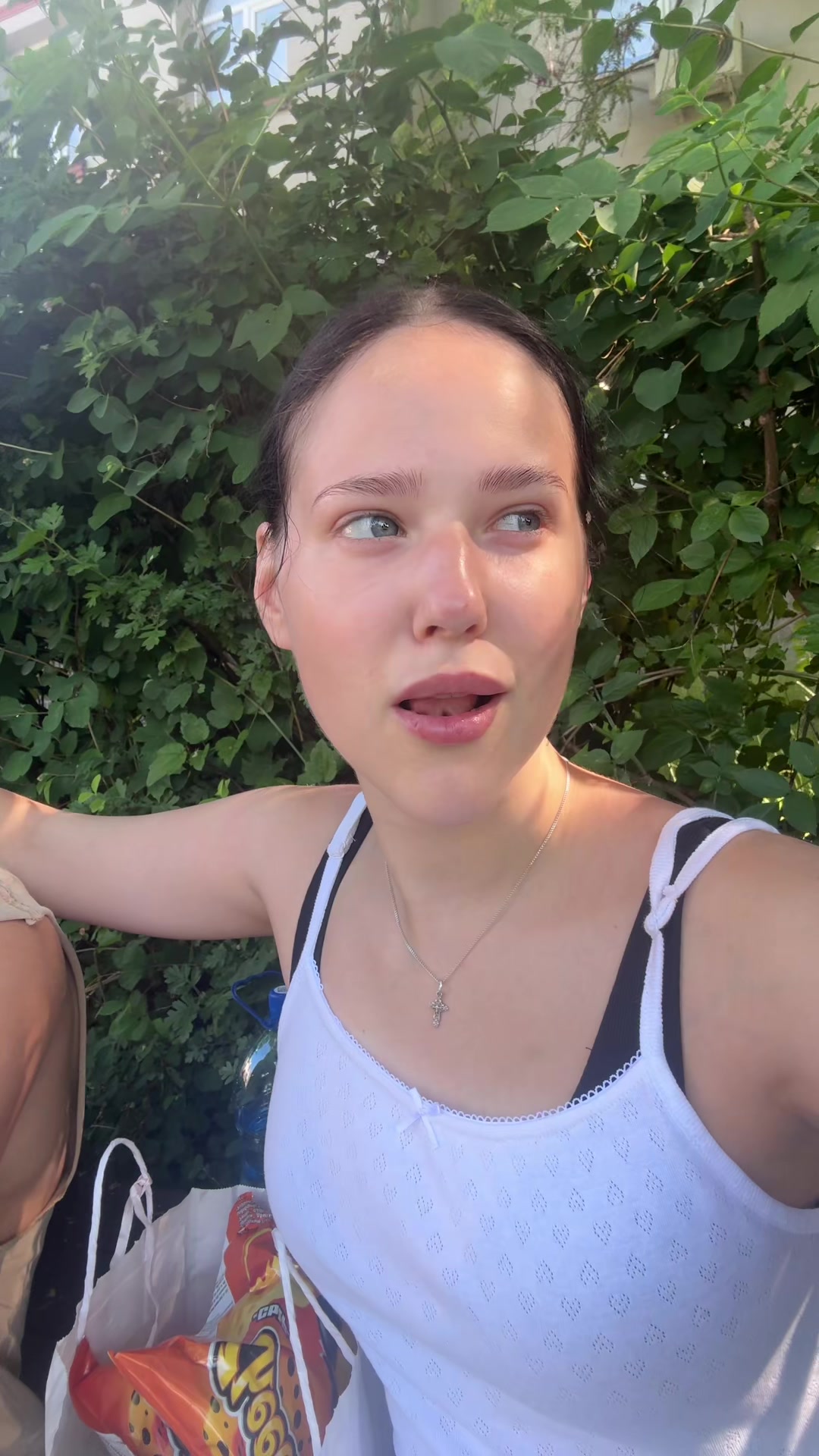 @vanilkan