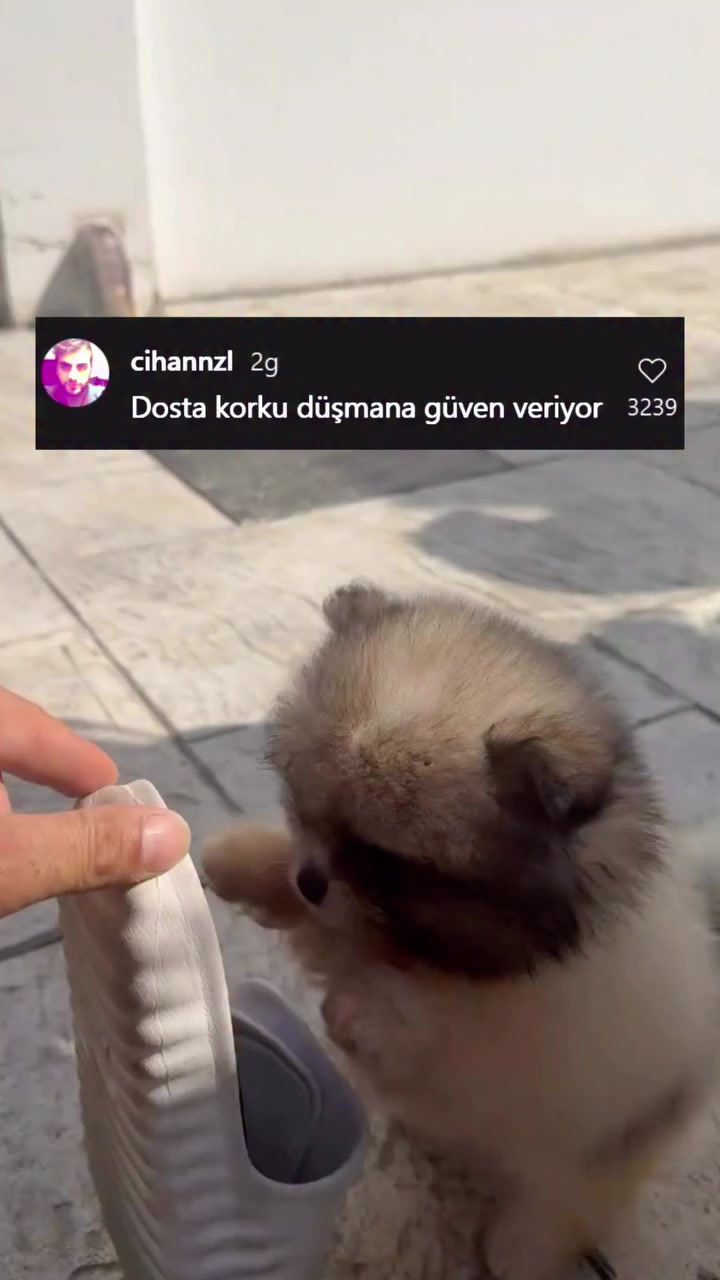 @Kader