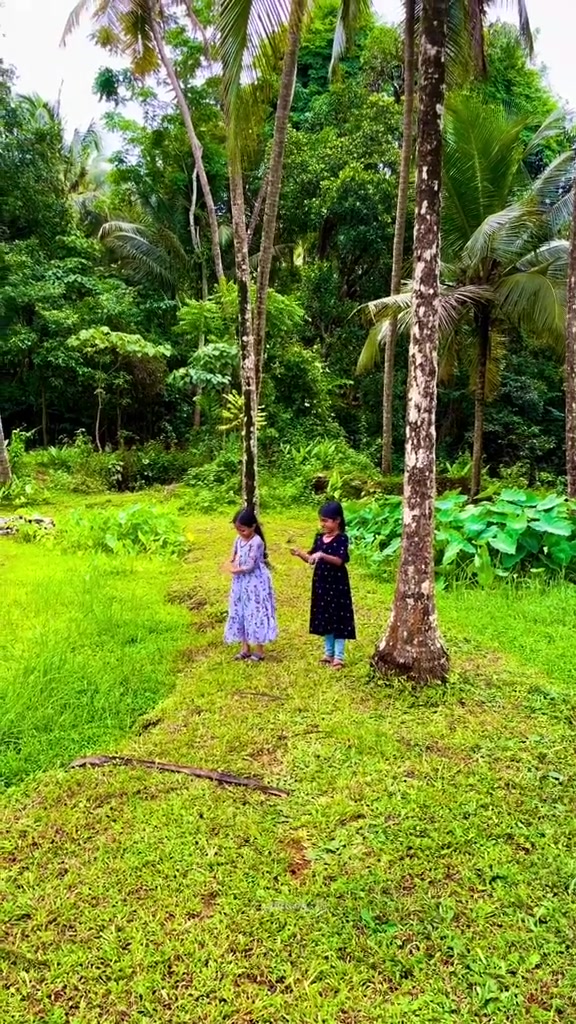 @❤️ഓർമകൾ❤️