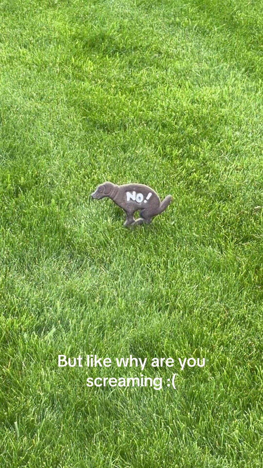 @kels