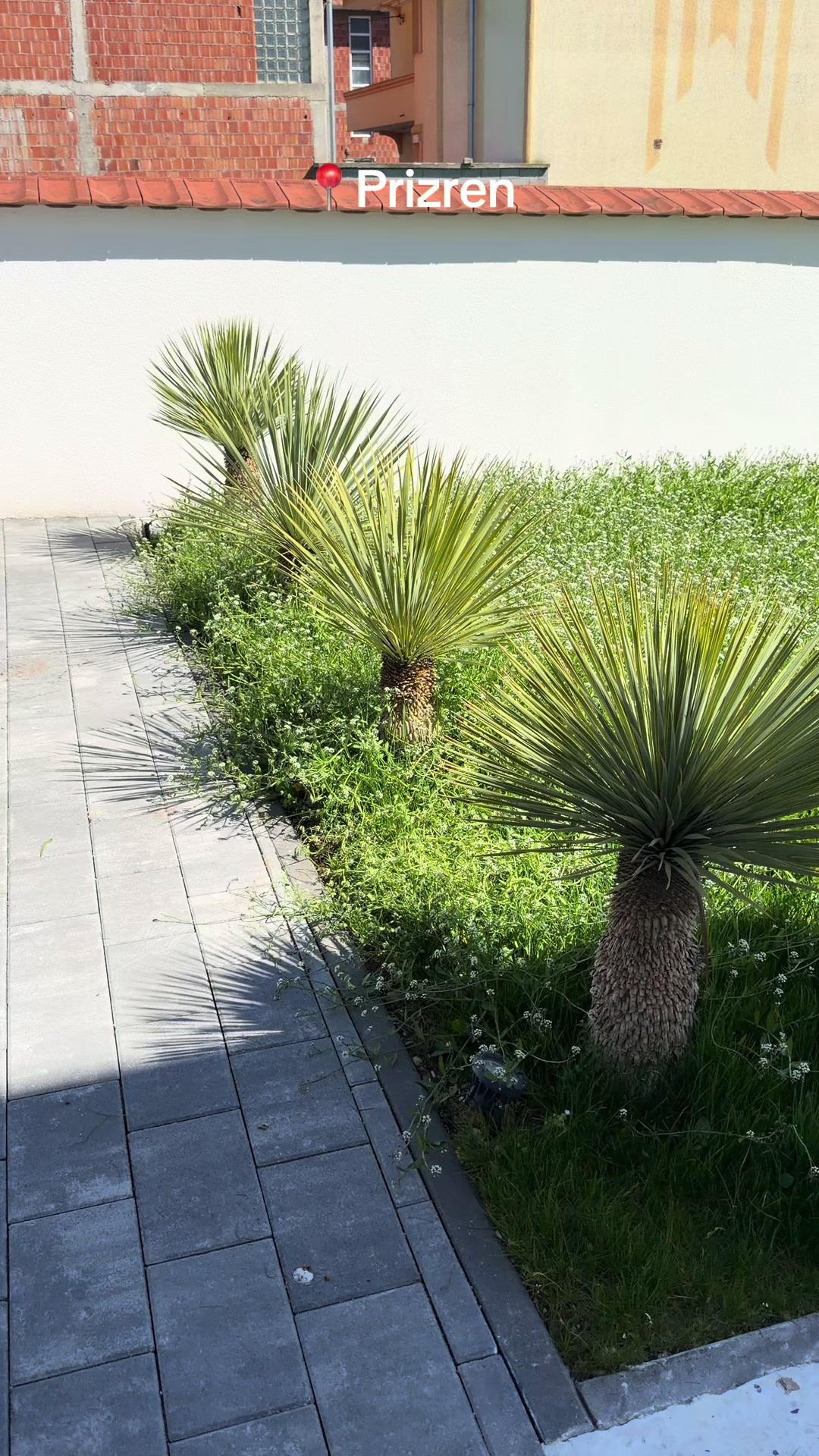 @shalagarden
