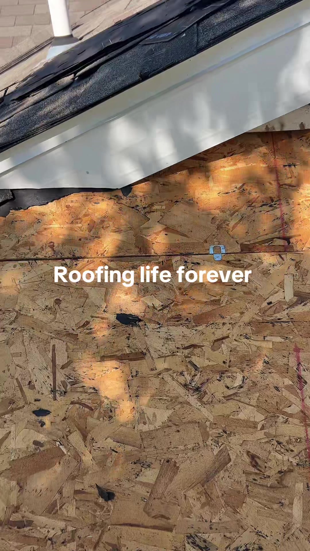 @THe best roofer ever