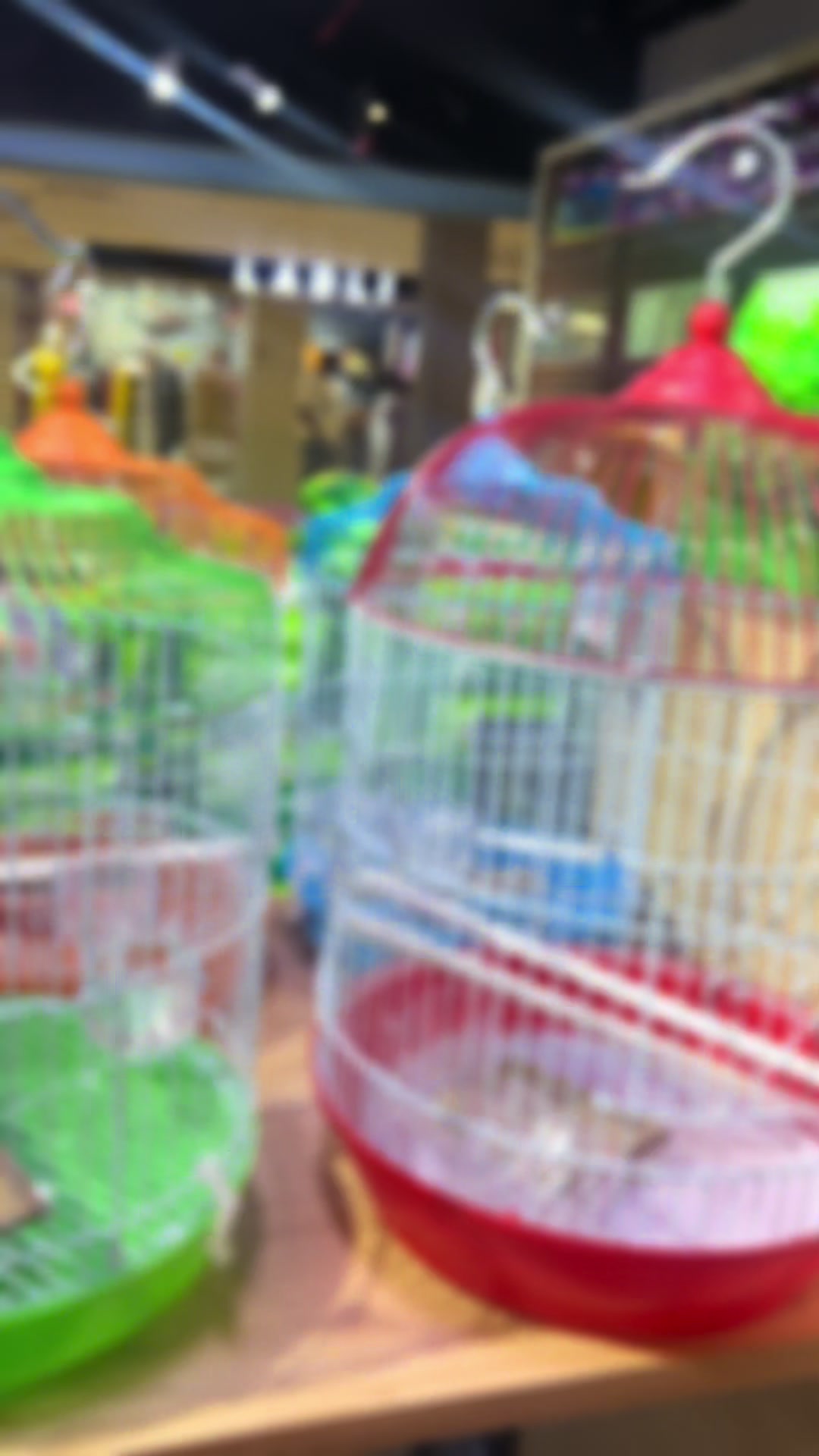 @wimpypetshop