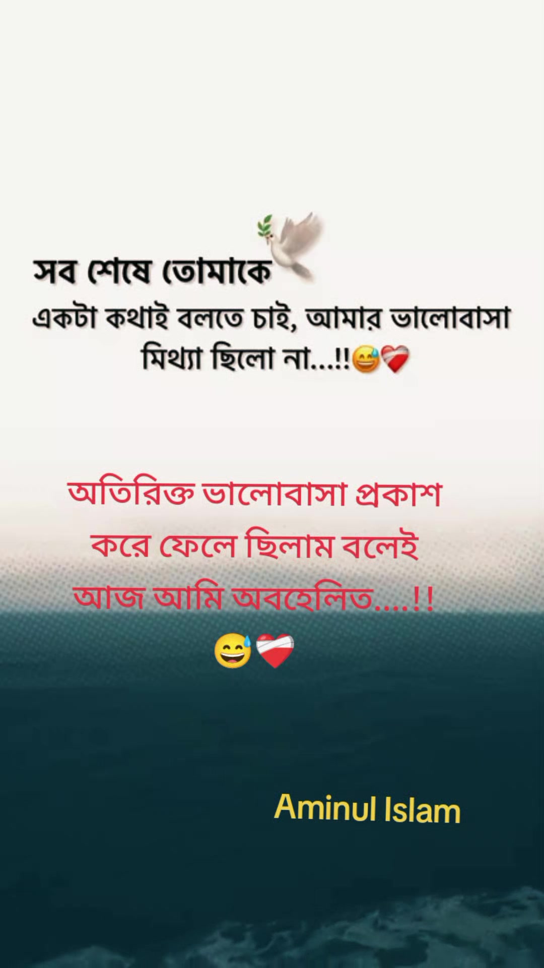 @Aminul Islam