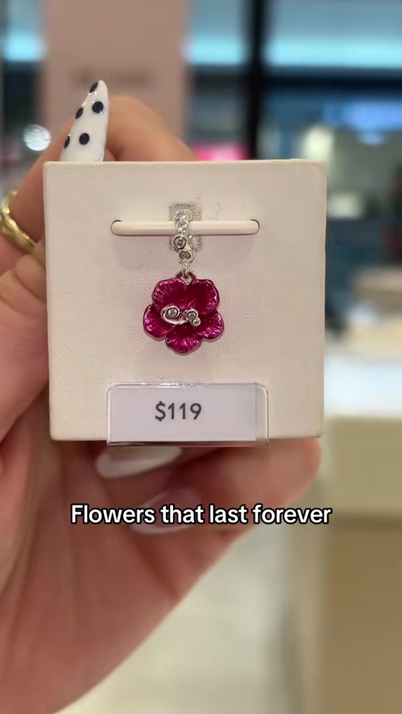 @Pandora Mt Gravatt