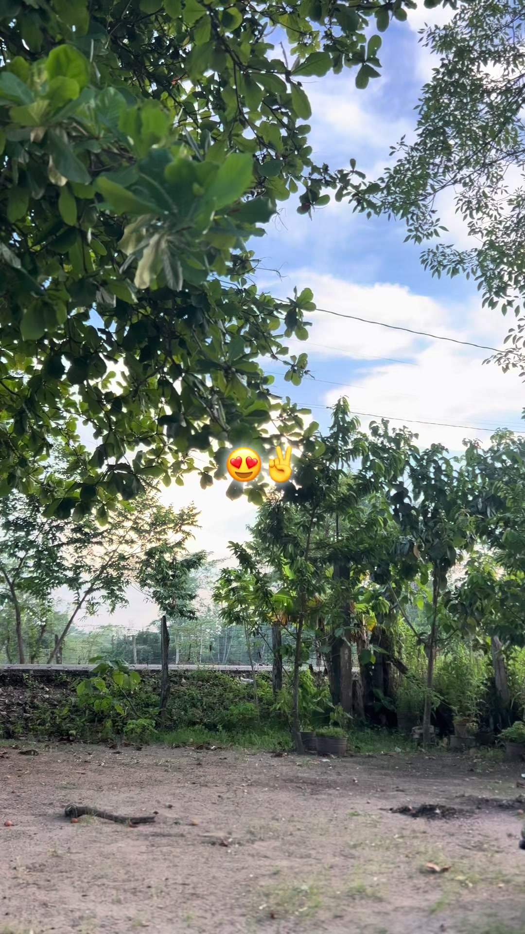 @ Luis_002🥷