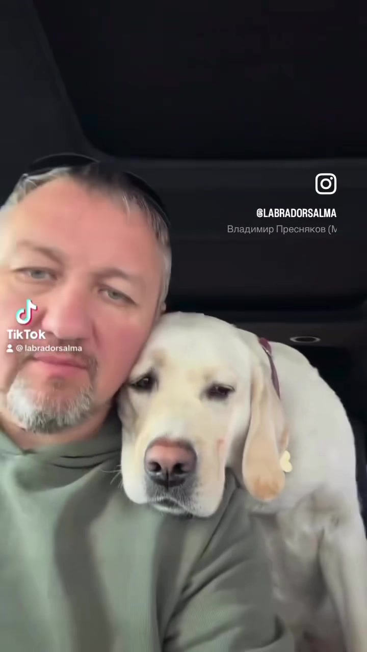 @SALMALABRADOR