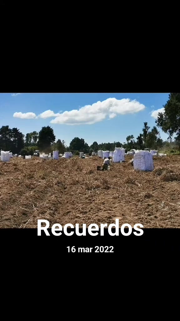@Alejandro Aedo178