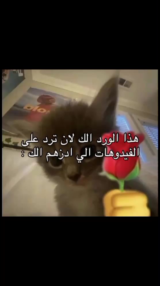 @دندن